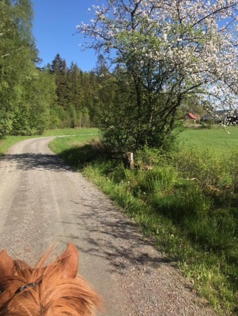 Stenlid - Med Naturen Och Lugnet I Fokus Veddige ภายนอก รูปภาพ