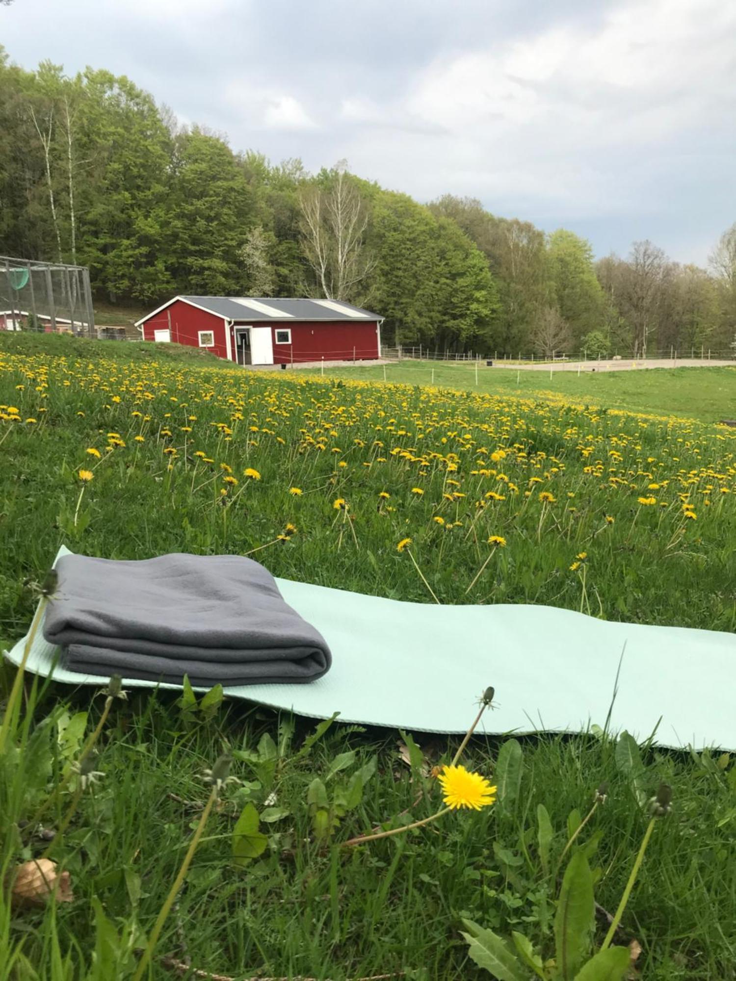 Stenlid - Med Naturen Och Lugnet I Fokus Veddige ภายนอก รูปภาพ