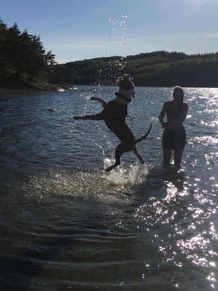 Stenlid - Med Naturen Och Lugnet I Fokus Veddige ห้อง รูปภาพ